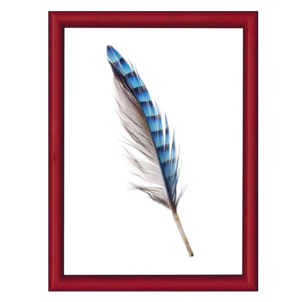 Picoglass Cornice Virius 13X18 Rossa Picoglass Cornice Virius 13X18 Rossa